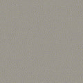 colour_プローンレザー & スクリプト