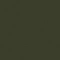 colour_オリーブ