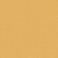 colour_プローンレザー & ヤロー