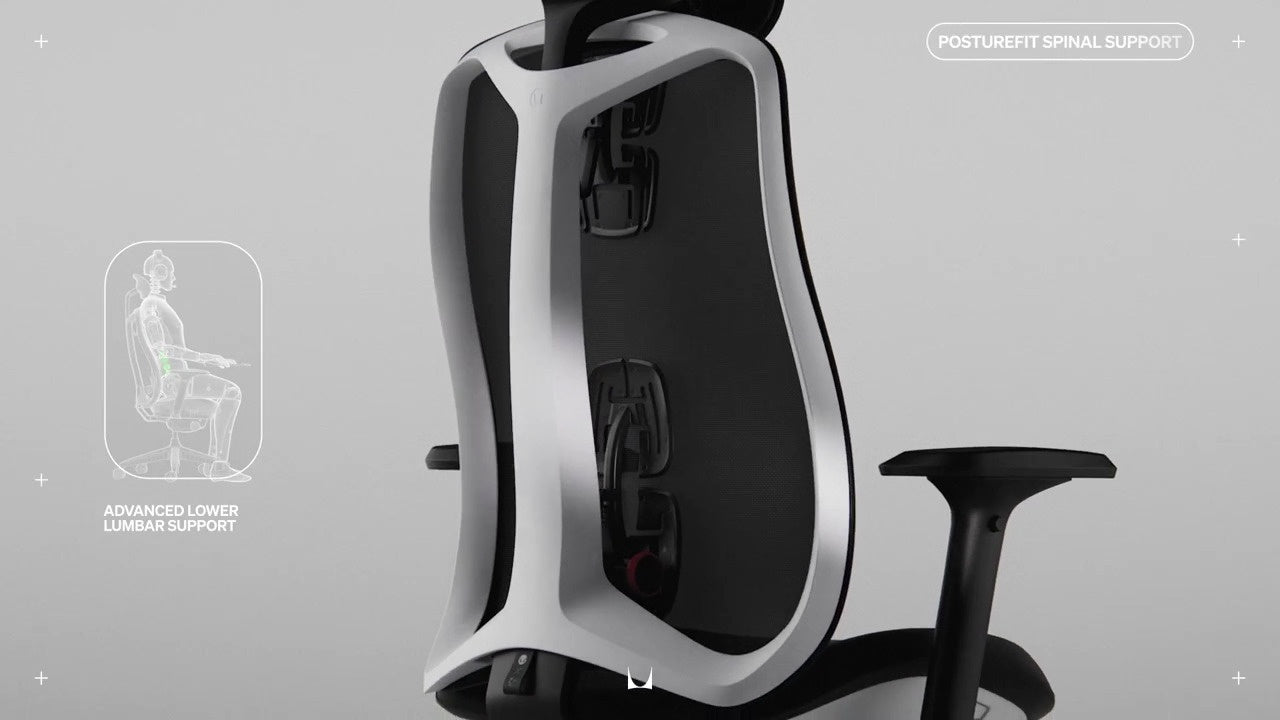 PostureFit 脊椎サポート