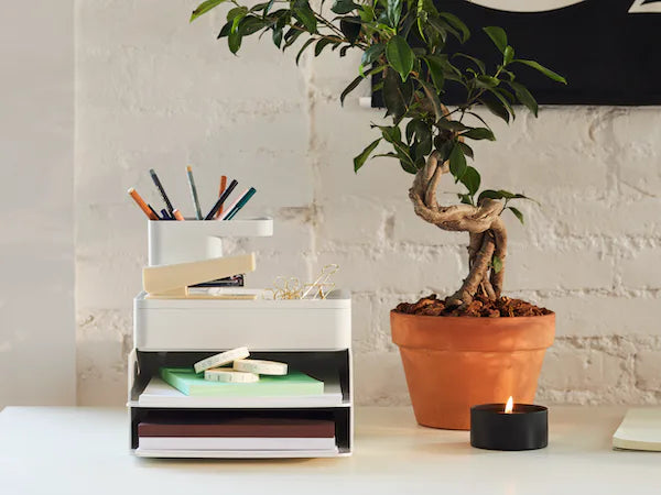 乱雑から芸術的なキュレーションへ