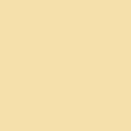 colour_パウダーイエロー